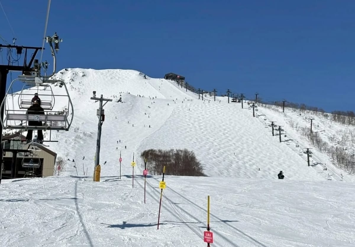 Japan Weekly Roundup #302