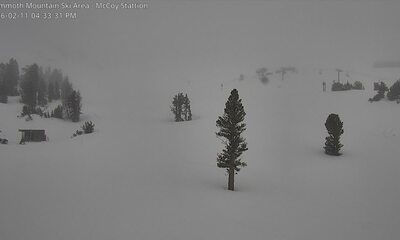 Mammoth Mountain Webcam